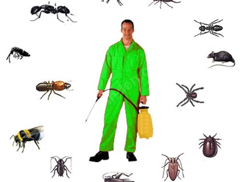 Çal Böcek İlaçlama